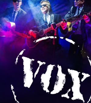 Grupa VOX