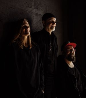 Mikromusic Acoustic trio
